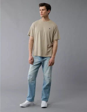 AE Lightweight Icon T-Shirt