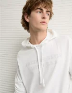 AE Lightweight Icon Logo Graphic Hoodie T-Shirt