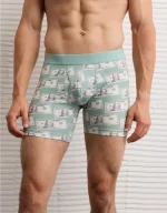 AEO Men's Dollar Bills 6" Classic Boxer Brief