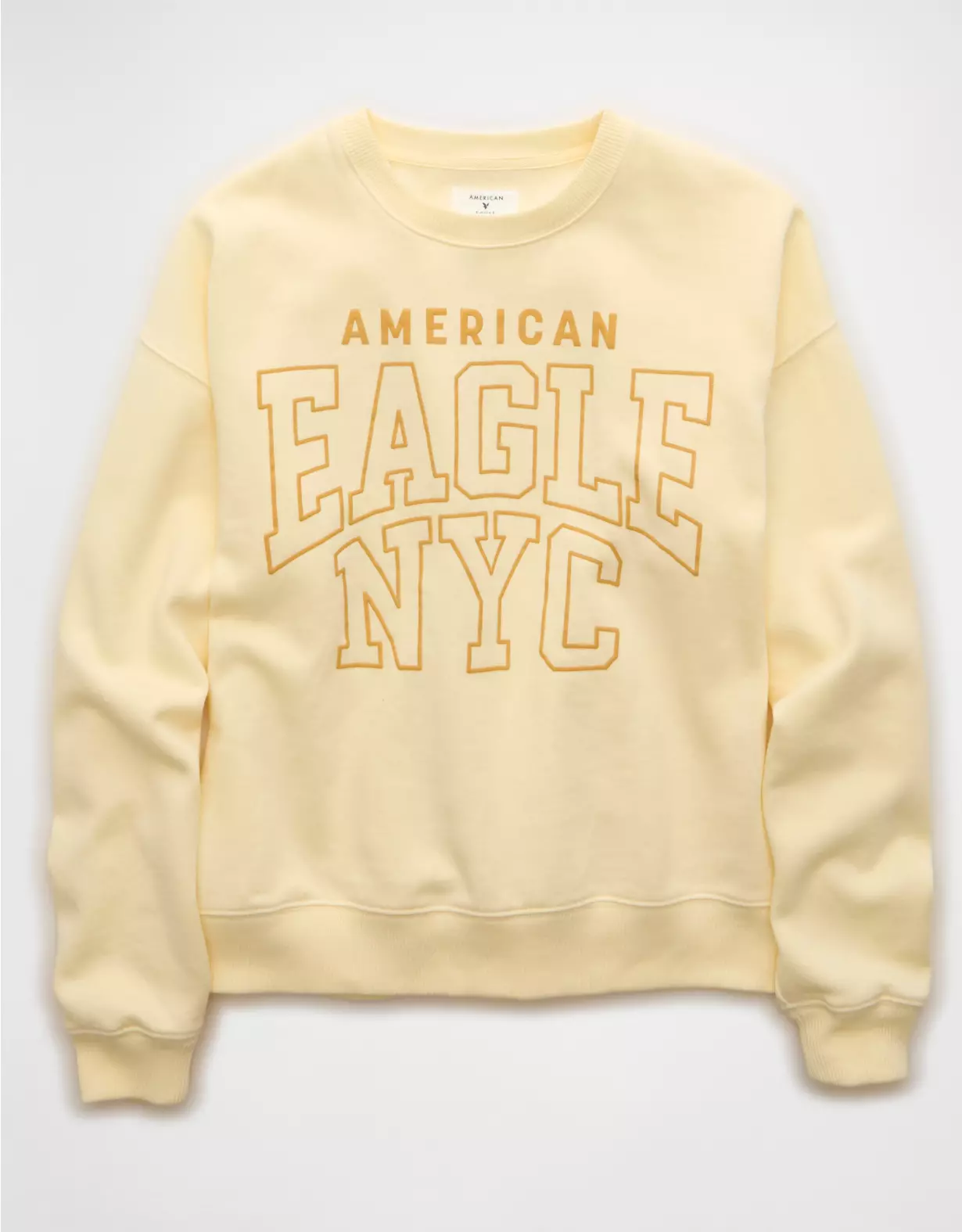 AE Funday Crew Neck Sweatshirt